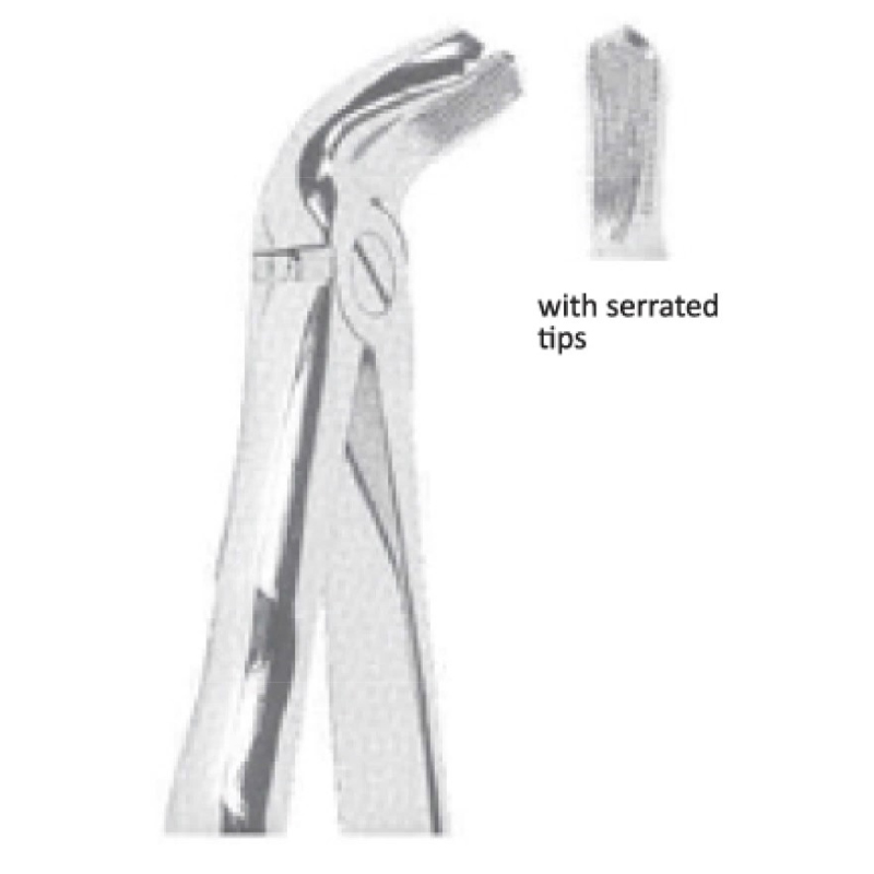 EXTRACTING FORCEPS With Anatomicall